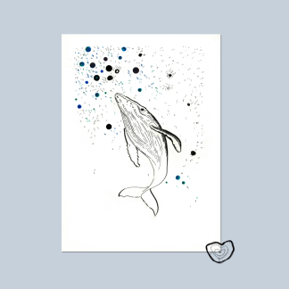 La baleine cet animal marin si apaisant