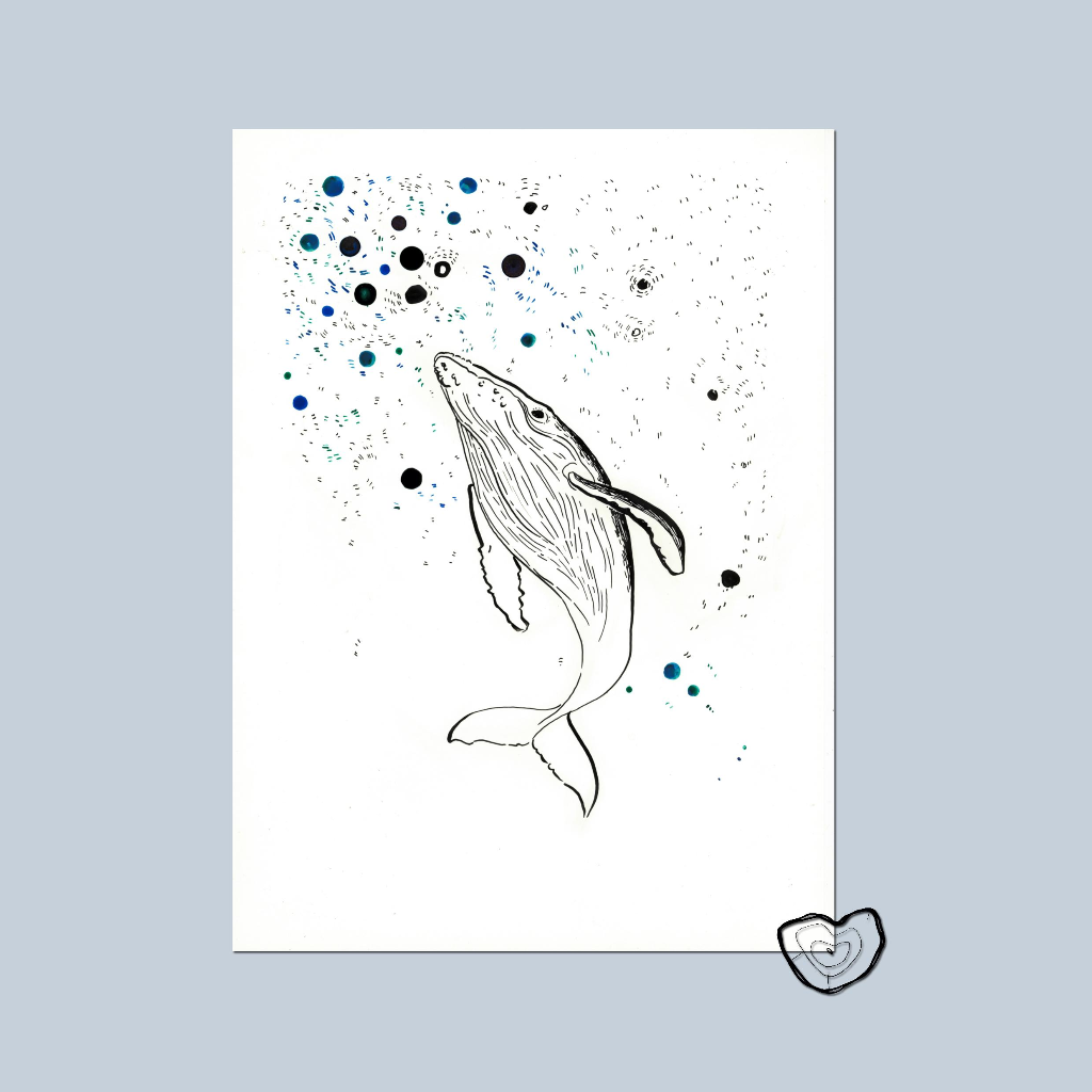 La baleine cet animal marin si apaisant