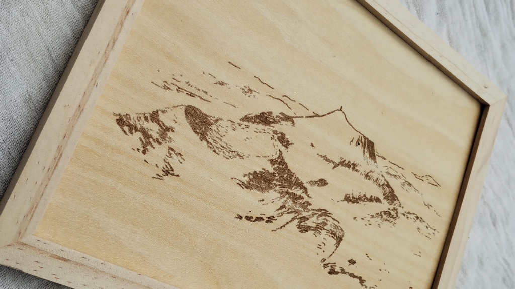 gros plan sur le décor du paysage