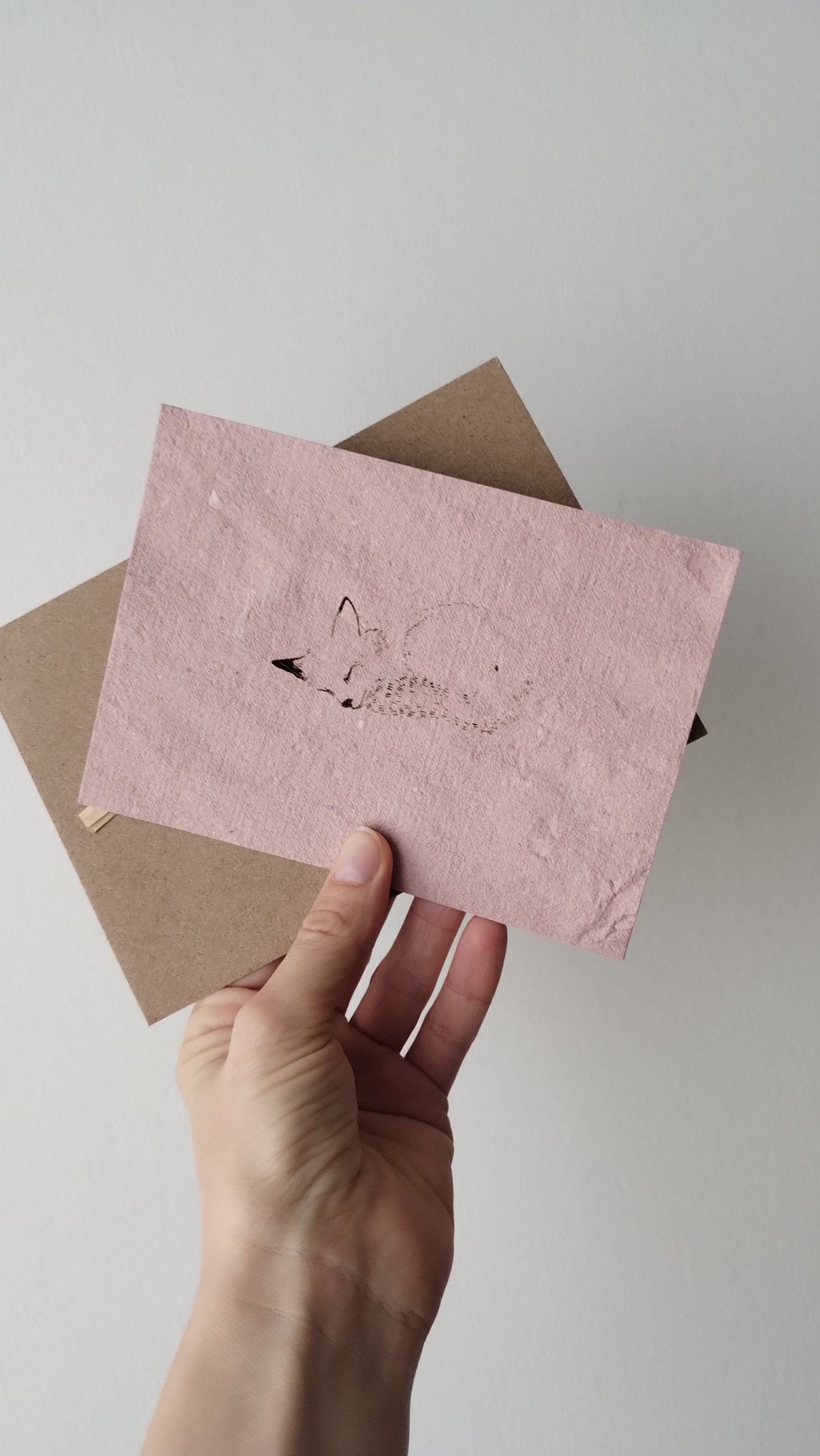 carte postale renard sur fond rose