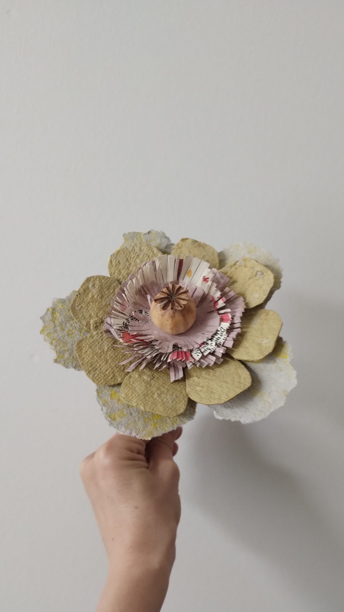 Fleur de pavot et papier recyclé